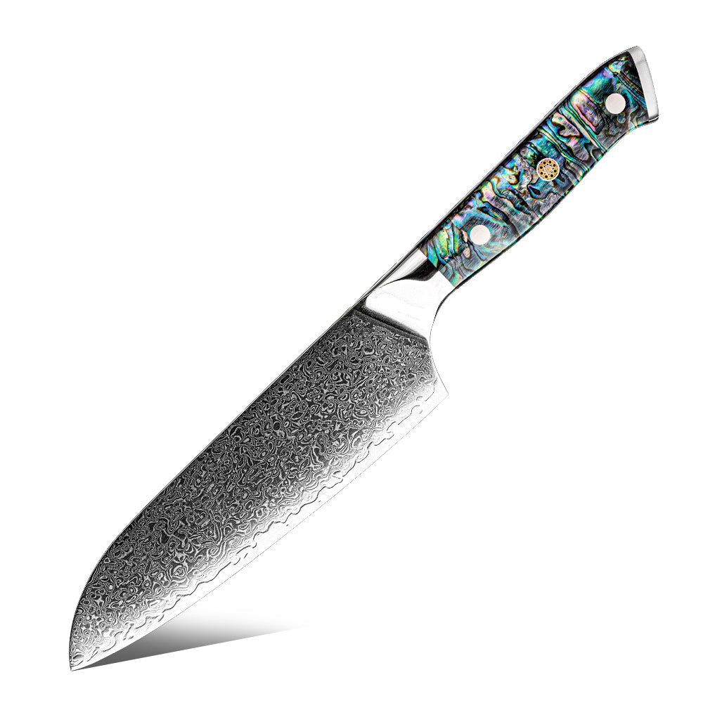 Damastmesser Santoku Blue Coral Griff